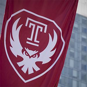 Picture of Temple’s Owl Transformed